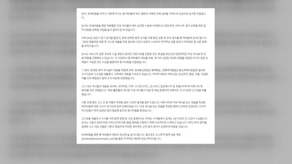 르세라핌 소속사 "악플러 처벌받았다...강경 대응 방침" / YTN