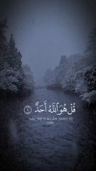 وَلَمْ يَكُن لَّهُ كُفُوًا أَحَدٌ