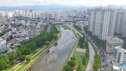 [대구] 홍준표 대구시장 "대구 신천에 프러포즈 공간 조성" / YTN