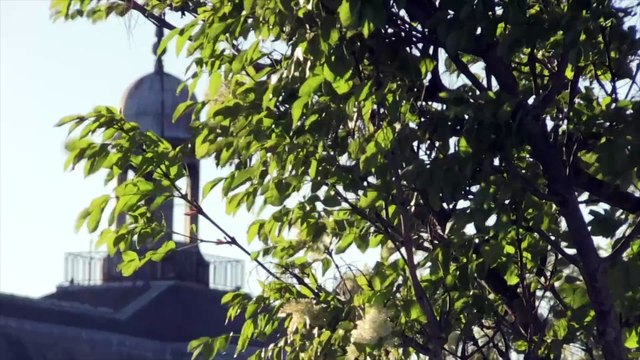 Des vies offertes Bande-annonce VF