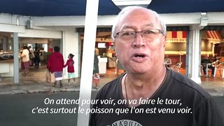 Nouvelle-Calédonie: sur le marché de Nouméa enfin rouvert, plus rien n'est comme avant