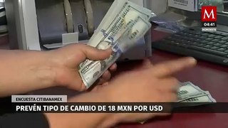 Analistas prevén cerrar el año en 18 pesos por dólar: Citibanamex