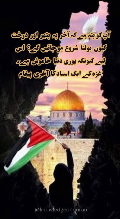 A final message from a teacher in Gaza