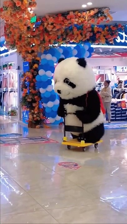 #funnyvideos_#funny_#funnyanimals_#comedyvideos_#comdy_#lucu_#fyp_#fypシ_#foryou_#xuhuong_(2)