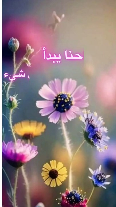 صباح الورد
