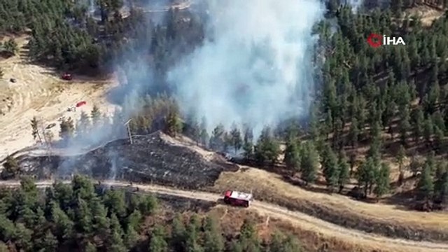 Bir orman yangını daha: Alevler yerleşim yerine yaklaştı