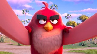 The Angry Birds Movie 3 Announcement Trailer