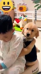 Funny funny #funny video #funny animals video #comedy