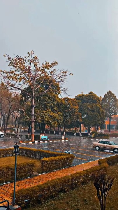 VID-20240302-WA0033