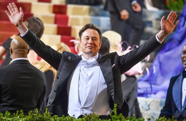 Elon Musk calls for 'radical action' to combat low birth rates
