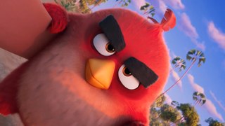 Angry Birds 3 - Primer avance