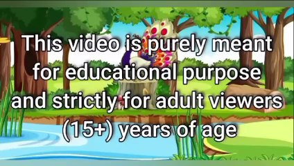 bedtime stories |cartoon |چڑیا نے کی راجا جی سے انسانوں کی شکایت