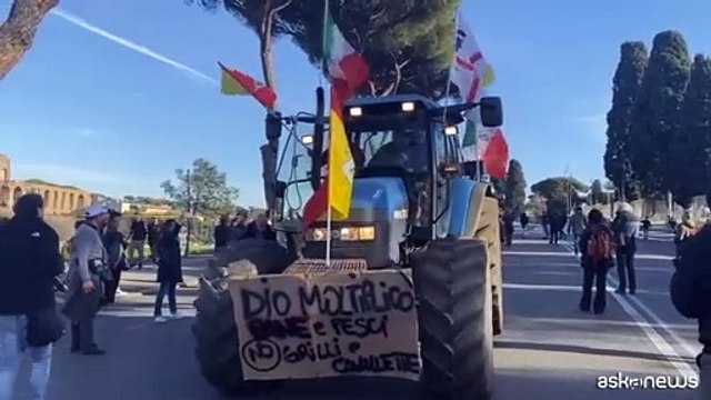 Europee, l'analisi: come Meloni sta cambiando l'approccio delle destre all'Ue