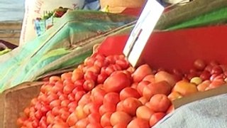 ¿Por qué está caro el tomate? Las claves para entender la subida del precio de este producto.