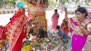 वट वृक्ष की पूजा कर की पति के दीर्घायु की मंगलकामना