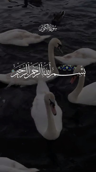 #Islamic Teachings"#Islam#Quran#Surah#taqareer#fly