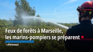 Feux de forêts à Marseille, les marins-pompiers se préparent