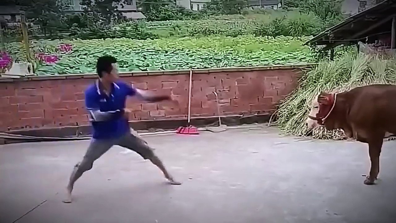 Funny video "
