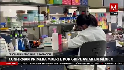 OMS reporta la primera muerte por gripe aviar en el Edomex