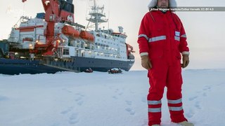 You Have to Check Out This Amazing Discovery From the Arctic