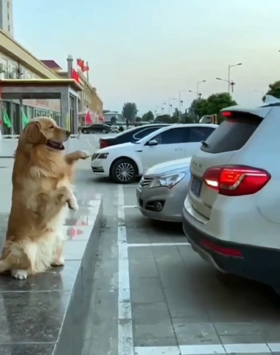 "[Product Name] Review: Is It Worth It?" "Top 5 Features of [Product Name] You Need to Know"