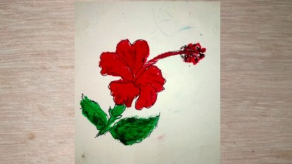 How to draw Hibiscus flower