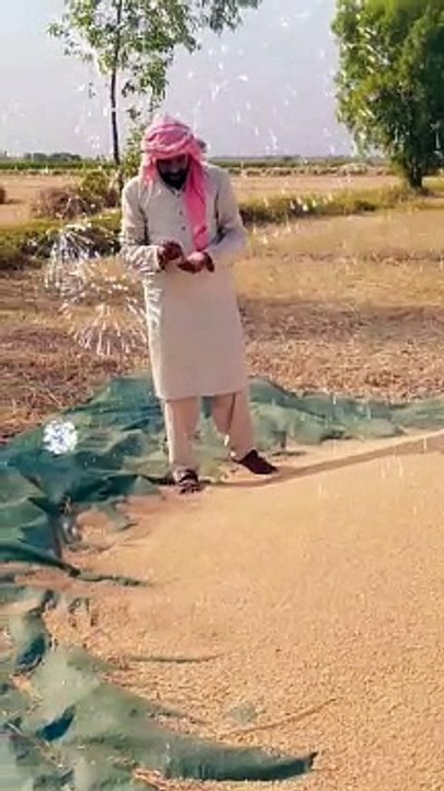 Punjabi ke log
