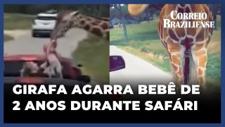 GIRAFA AGARRA BEBÊ DE DOIS ANOS DURANTE SAFÁRI