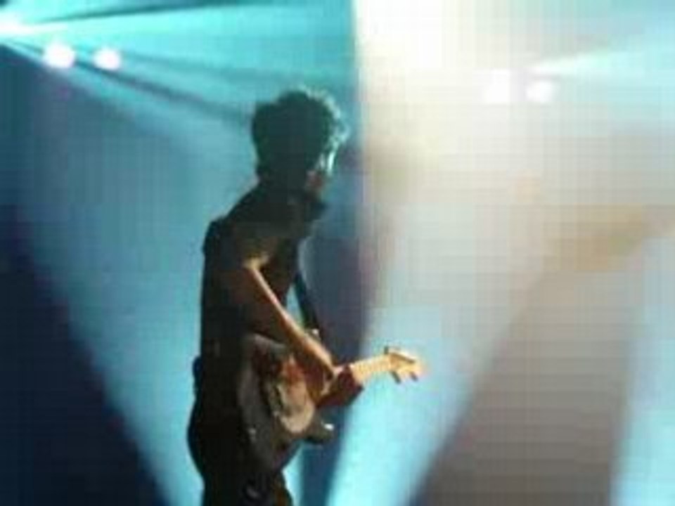BB brunes