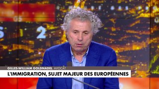 Geoffroy Lejeune et Gilles-William Goldnadel évoquent la thématique de l'immigration, sujet majeur des Européennes