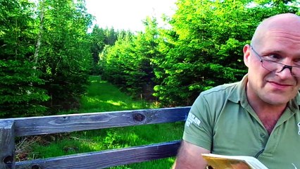 Glaube, nicht Werke!