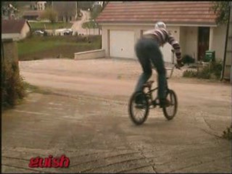 Viler 6