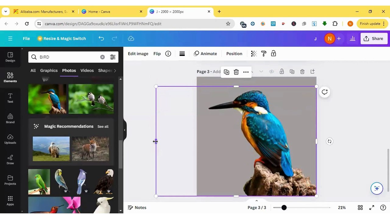 BIRD Text Effect Design