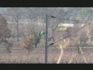 8. TRAINS DANS LE SUD ... III