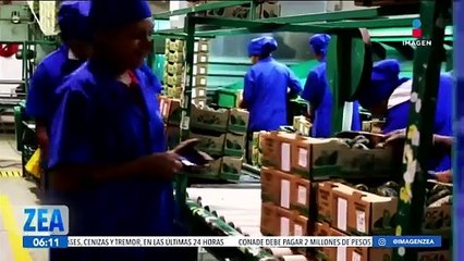 Se registró una caída de 25 mil 203 empleos en mayo 2024: IMSS