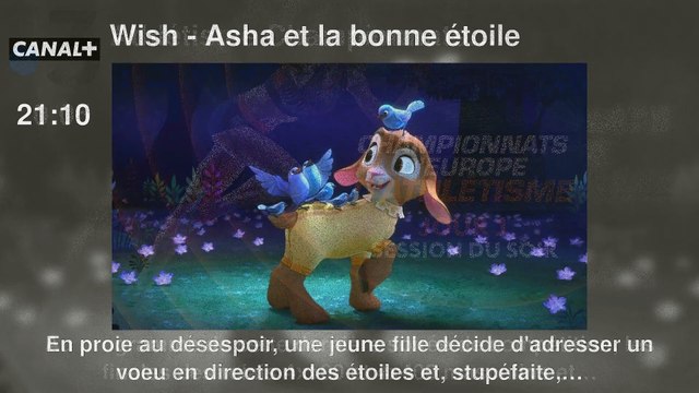 Programme TV soirée du Vendredi 7 juin 2024