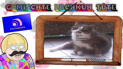 Gemischte Tüte Bond temu