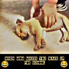 When mom makes you wake up for school!