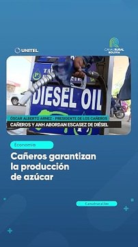 Cañeros garantizan la producción de azúcar
