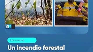 Un incendio forestal activo en Santa Cruz