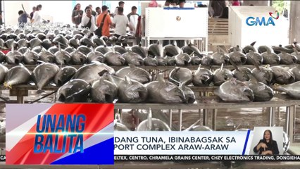 Tone-toneladang tuna, ibinabagsak sa Gensan Fish Port Complex araw-araw | Unang Balita
