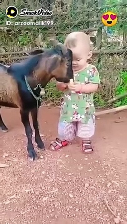 Funny video