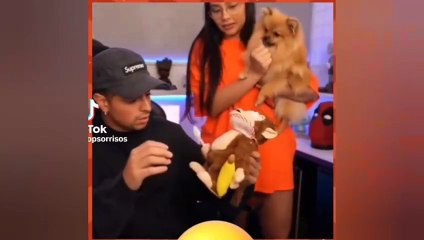 SCARE CAM Priceless Reactions#272 _ Impossible Not To Laugh__TikTok Honors_