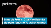 Luna de Fresa 2024: Horario exacto del fenómeno astronómico de junio y cómo disfrutarlo