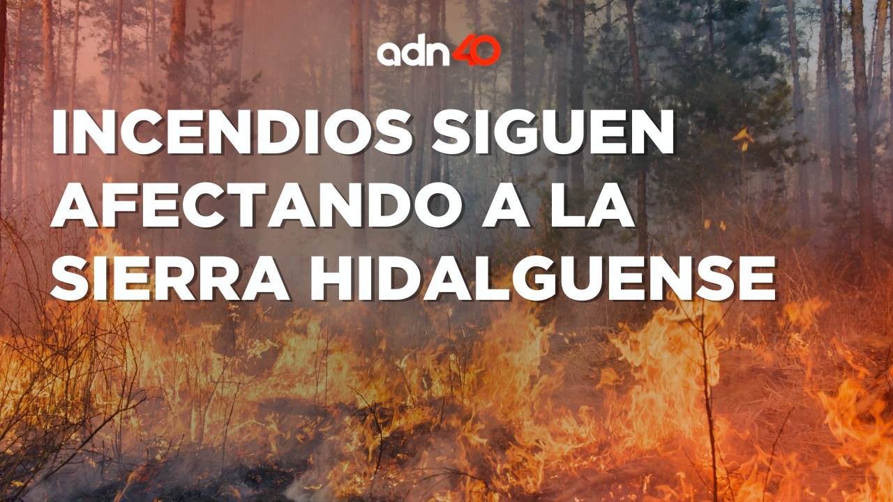 ¡Intensos incendios en la Sierra hidalguense!