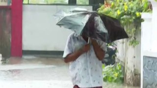 ഇടിമിന്നലോടുകൂടിയ മഴയ്ക്ക് സാധ്യത; പത്തനംതിട്ട, കോട്ടയം ഒഴികെയുള്ള ജില്ലകളിൽ യെല്ലോ അലർട്ട്