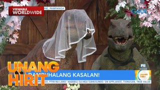 Dambuhalang kasalan ng mga dinosaur sa Pampanga! | Unang Hirit