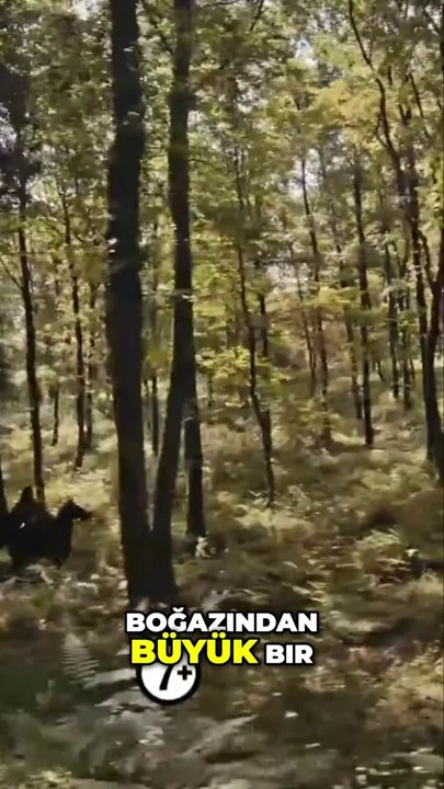 "Kuruluş Osman 164. Bölüm URDU SUBTITLES ( Sezon Finali) Fragman | ““Rabbin hizmetkarı Osman Bey””