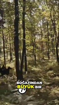 Kuruluş Osman 164. Bölüm URDU SUBTITLES ( Sezon Finali) Fragman | ““Rabbin hizmetkarı Osman Bey””