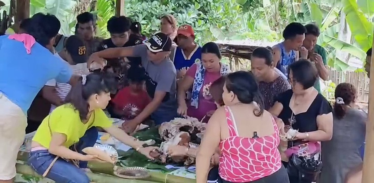 Happy Fiesta
